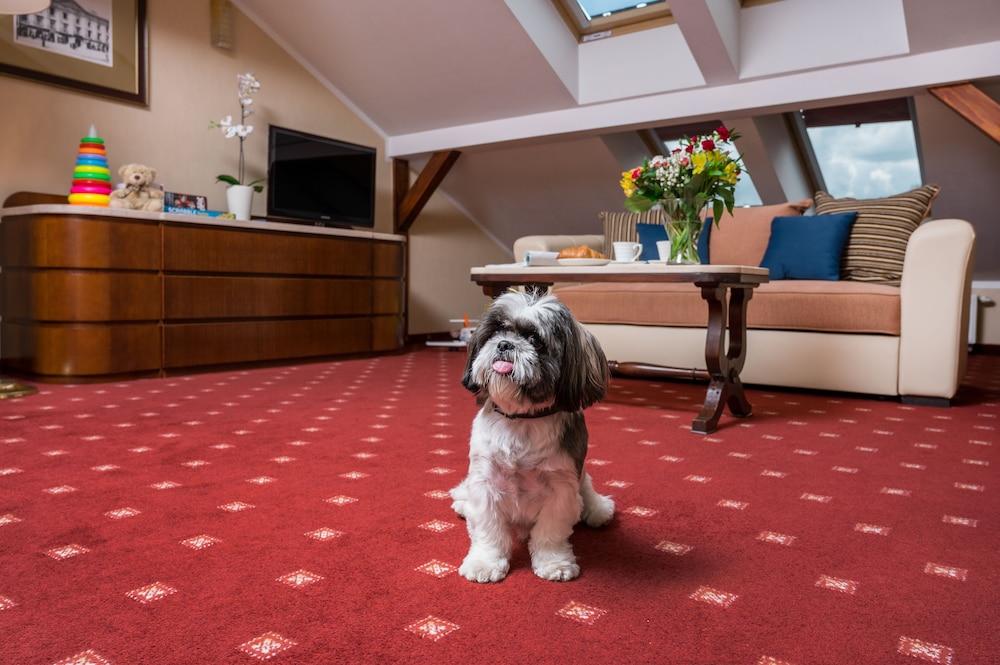 Booking Hotel & Spa Krakow Exterior photo A carpet in a living room